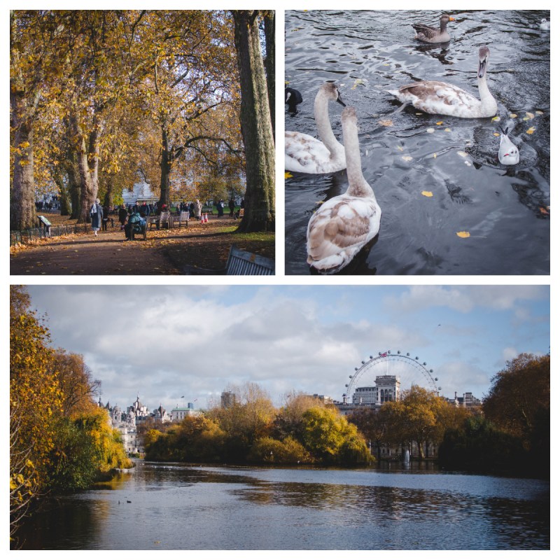St James's Park - 1 week London itinerary