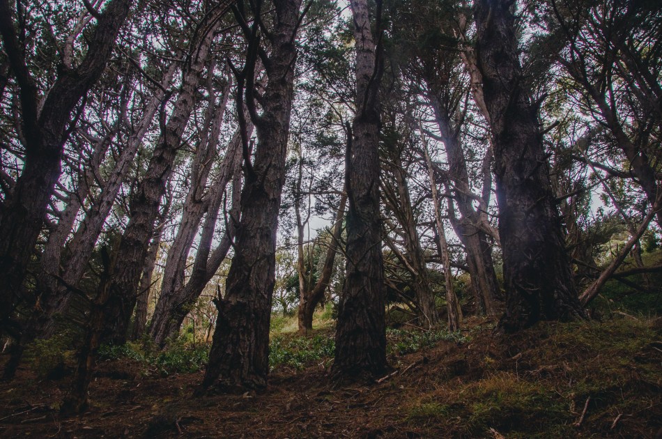 Choosing Photo Gear