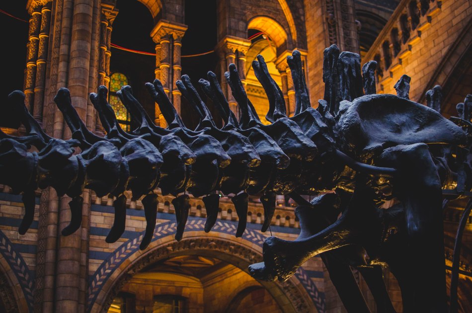 1 Week London Itinerary